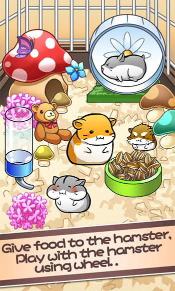 Hamster Life App