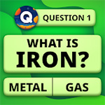 QuizzLand. Quiz & Trivia game Icon