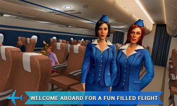 Airplane Flight Attendant Review