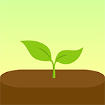 Forest Focus for Productivity Icon