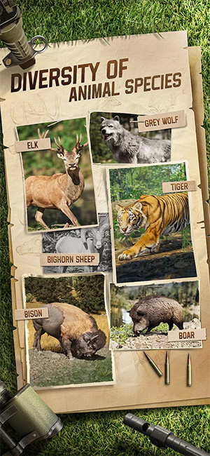 Hunting Sniper Review