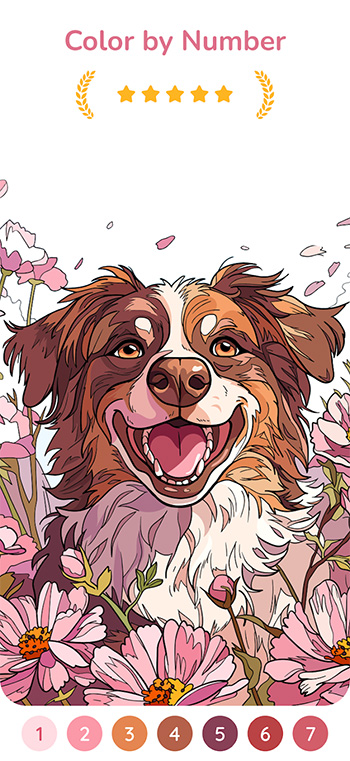 Happy Color Color by Number Review